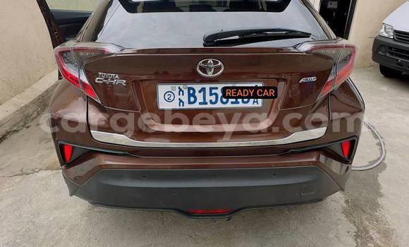 Buy Used Toyota C-HR Other Car in Addis–Ababa in Ethiopia Buy Used Toyota C-HR Other Car in Addis–Ababa in Ethiopia