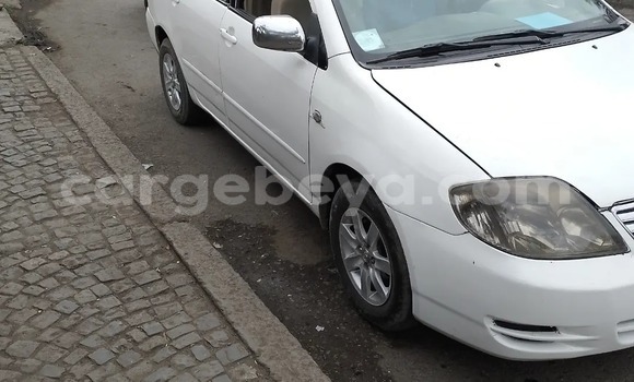 Acheter Occasion Voiture Toyota Corolla Blanc à Addis Ababa, Ethiopie Acheter Occasion Voiture Toyota Corolla Blanc à Addis Ababa, Ethiopie