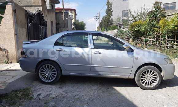 Acheter Occasion Voiture Toyota Corolla Autre à Addis Ababa, Ethiopie Acheter Occasion Voiture Toyota Corolla Autre à Addis Ababa, Ethiopie