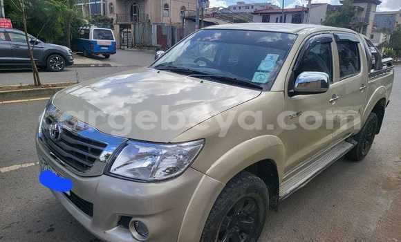 Oofamaa Toyota Hilux Other Makiinaa iti Addis–Ababa keessatti Ethiopia keessatti Oofamaa Toyota Hilux Other Makiinaa iti Addis–Ababa keessatti Ethiopia keessatti