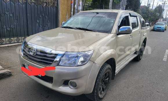 ይግዙ ያገለገለ Toyota Hilux ሌላ መኪና በ አዲስ አበባ በ ኢትዮጵያ ይግዙ ያገለገለ Toyota Hilux ሌላ መኪና በ አዲስ አበባ በ ኢትዮጵያ