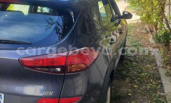 ይግዙ ያገለገለ Hyundai Tucson ሌላ መኪና በ አዲስ አበባ በ ኢትዮጵያ ይግዙ ያገለገለ Hyundai Tucson ሌላ መኪና በ አዲስ አበባ በ ኢትዮጵያ