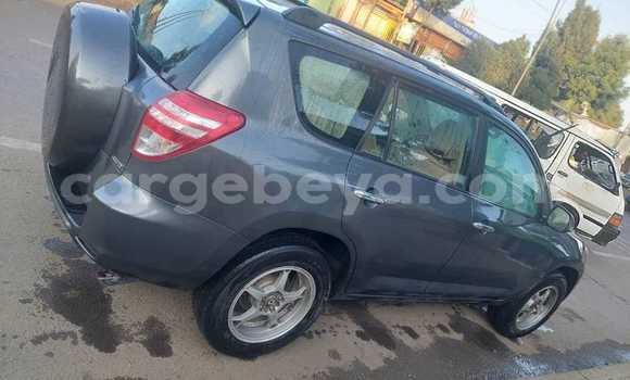 ይግዙ ያገለገለ Toyota RAV4 ሌላ መኪና በ አዲስ አበባ በ ኢትዮጵያ ይግዙ ያገለገለ Toyota RAV4 ሌላ መኪና በ አዲስ አበባ በ ኢትዮጵያ