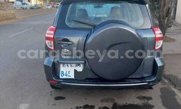ይግዙ ያገለገለ Toyota RAV4 ሌላ መኪና በ አዲስ አበባ በ ኢትዮጵያ ይግዙ ያገለገለ Toyota RAV4 ሌላ መኪና በ አዲስ አበባ በ ኢትዮጵያ