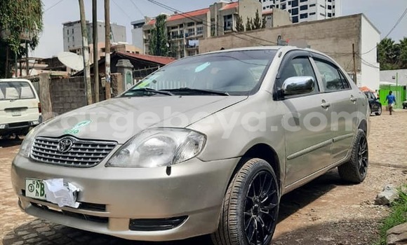 Oofamaa Toyota Corolla Other Makiinaa iti Addis–Ababa keessatti Ethiopia keessatti