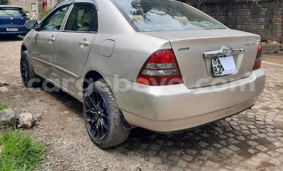 ይግዙ ያገለገለ Toyota Corolla ሌላ መኪና በ አዲስ አበባ በ ኢትዮጵያ ይግዙ ያገለገለ Toyota Corolla ሌላ መኪና በ አዲስ አበባ በ ኢትዮጵያ