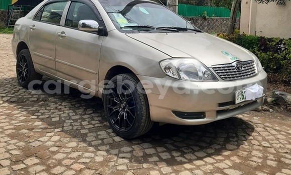 ይግዙ ያገለገለ Toyota Corolla ሌላ መኪና በ አዲስ አበባ በ ኢትዮጵያ ይግዙ ያገለገለ Toyota Corolla ሌላ መኪና በ አዲስ አበባ በ ኢትዮጵያ