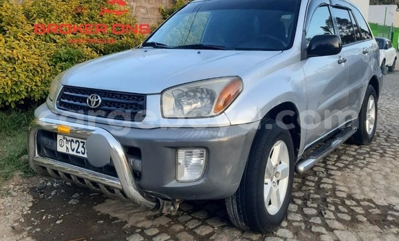 ይግዙ ያገለገለ Toyota RAV4 ሌላ መኪና በ አዲስ አበባ በ ኢትዮጵያ