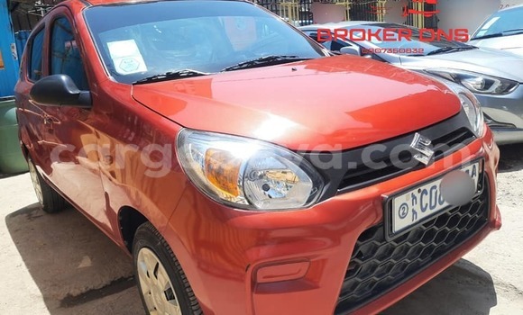 Buy Used Suzuki Alto Red Car in Addis–Ababa in Ethiopia Buy Used Suzuki Alto Red Car in Addis–Ababa in Ethiopia