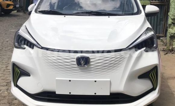 Buy Used Changan Eado White Car in Addis–Ababa in Ethiopia Buy Used Changan Eado White Car in Addis–Ababa in Ethiopia
