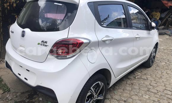 Buy Used Changan Eado White Car in Addis–Ababa in Ethiopia Buy Used Changan Eado White Car in Addis–Ababa in Ethiopia