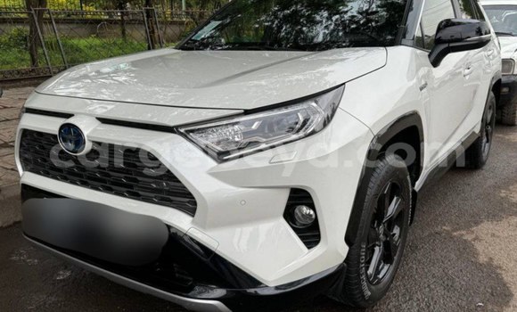 Buy Used Toyota RAV4 White Car in Addis–Ababa in Ethiopia
