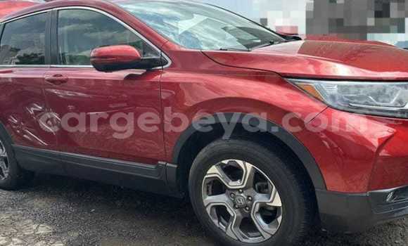 Buy Used Honda CR–V Red Car in Addiet–Canna in Ethiopia Buy Used Honda CR–V Red Car in Addiet–Canna in Ethiopia
