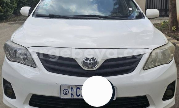 Buy Used Toyota Corolla White Car in Addiet–Canna in Ethiopia