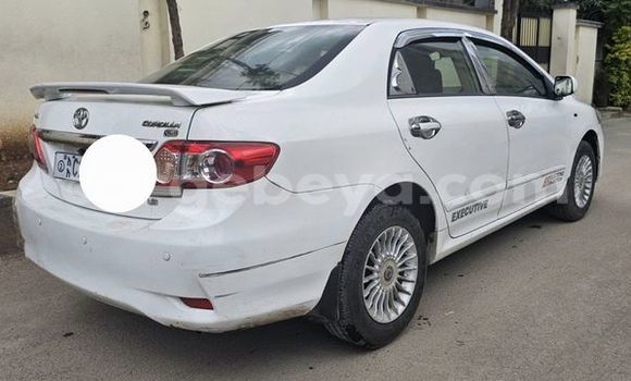 Buy Used Toyota Corolla White Car in Addiet–Canna in Ethiopia Buy Used Toyota Corolla White Car in Addiet–Canna in Ethiopia