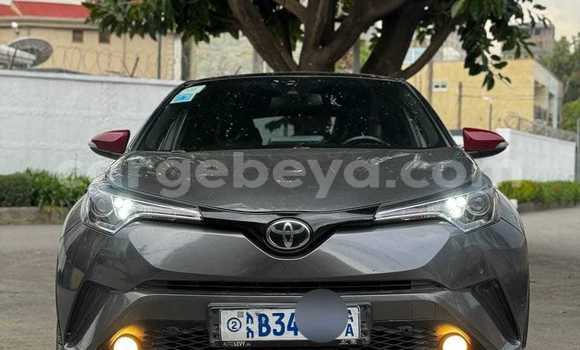 Buy Used Toyota C-HR Other Car in Addiet–Canna in Ethiopia Buy Used Toyota C-HR Other Car in Addiet–Canna in Ethiopia