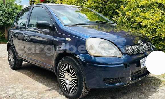 Oofamaa Toyota Vitz Blue Makiinaa iti Addiet–Canna keessatti Ethiopia keessatti Oofamaa Toyota Vitz Blue Makiinaa iti Addiet–Canna keessatti Ethiopia keessatti