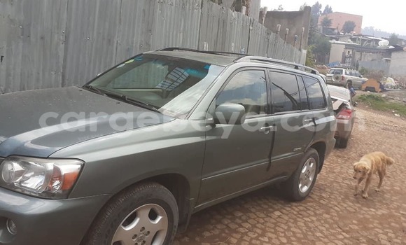 ይግዙ ያገለገለ Toyota Highlander ሌላ መኪና በ አክል በ ትግራይ ይግዙ ያገለገለ Toyota Highlander ሌላ መኪና በ አክል በ ትግራይ