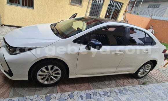 ይግዙ ያገለገለ Toyota Corolla ነጭ መኪና በ አቲ አረታይ በ አማራ ይግዙ ያገለገለ Toyota Corolla ነጭ መኪና በ አቲ አረታይ በ አማራ