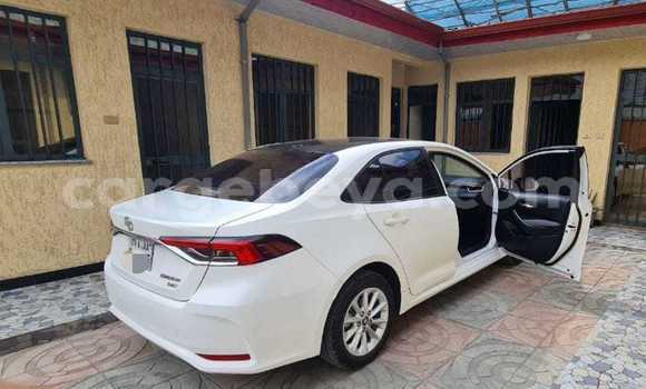 ይግዙ ያገለገለ Toyota Corolla ነጭ መኪና በ አቲ አረታይ በ አማራ ይግዙ ያገለገለ Toyota Corolla ነጭ መኪና በ አቲ አረታይ በ አማራ