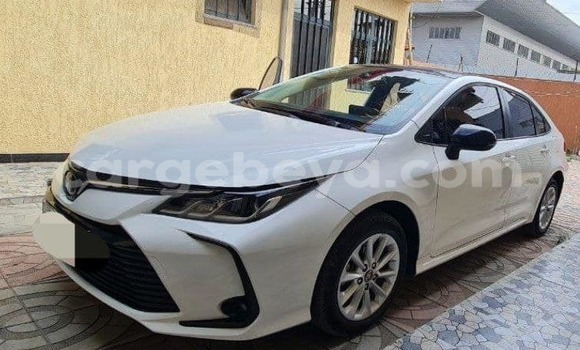 ይግዙ ያገለገለ Toyota Corolla ነጭ መኪና በ አቲ አረታይ በ አማራ ይግዙ ያገለገለ Toyota Corolla ነጭ መኪና በ አቲ አረታይ በ አማራ