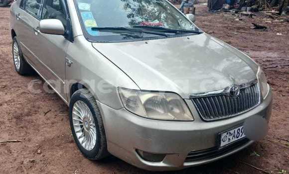 ይግዙ ያገለገለ Toyota Corolla ሌላ መኪና በ አቢይቲ–ካና በ ኢትዮጵያ ይግዙ ያገለገለ Toyota Corolla ሌላ መኪና በ አቢይቲ–ካና በ ኢትዮጵያ