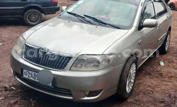ይግዙ ያገለገለ Toyota Corolla ሌላ መኪና በ አቢይቲ–ካና በ ኢትዮጵያ ይግዙ ያገለገለ Toyota Corolla ሌላ መኪና በ አቢይቲ–ካና በ ኢትዮጵያ