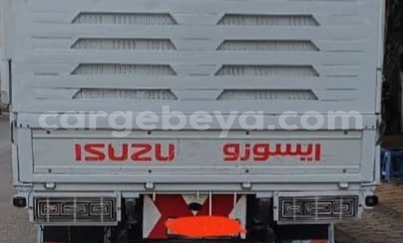 ይግዙ ያገለገለ Isuzu FTR 850 ነጭ የጭነት መኪና በ አቢይቲ–ካና በ ኢትዮጵያ ይግዙ ያገለገለ Isuzu FTR 850 ነጭ የጭነት መኪና በ አቢይቲ–ካና በ ኢትዮጵያ