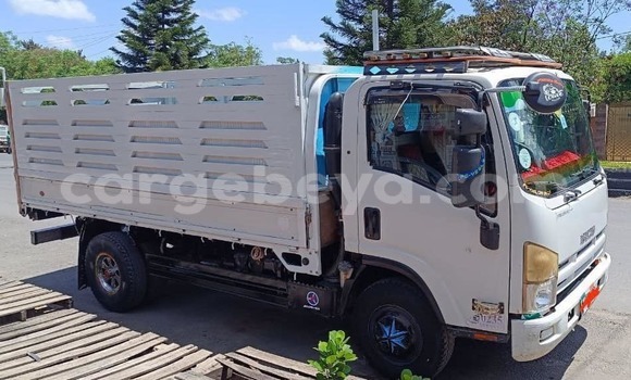 ይግዙ ያገለገለ Isuzu FTR 850 ነጭ የጭነት መኪና በ አቢይቲ–ካና በ ኢትዮጵያ ይግዙ ያገለገለ Isuzu FTR 850 ነጭ የጭነት መኪና በ አቢይቲ–ካና በ ኢትዮጵያ