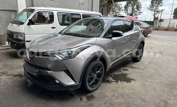 ይግዙ ያገለገለ Toyota C-HR ሌላ መኪና በ አቢይቲ–ካና በ ኢትዮጵያ ይግዙ ያገለገለ Toyota C-HR ሌላ መኪና በ አቢይቲ–ካና በ ኢትዮጵያ