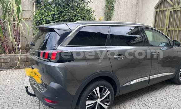 Buy Used Peugeot 5008 Other Car in Addigrat in Tigray