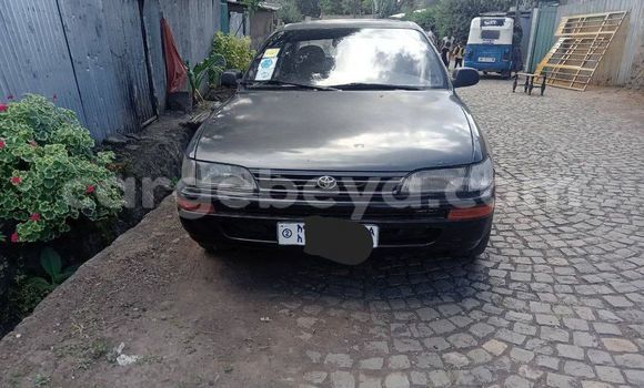 Buy Used Nissan March Other Car in Addiet–Canna in Ethiopia