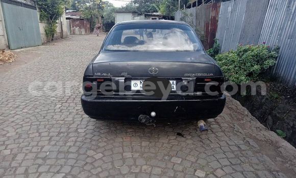 Acheter Occasion Voiture Nissan March Autre à Addiet–Canna, Ethiopie Acheter Occasion Voiture Nissan March Autre à Addiet–Canna, Ethiopie