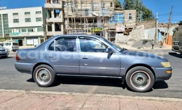 Buy Used Toyota Corolla Other Car in Addis–Ababa in Ethiopia