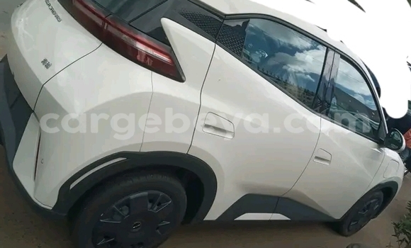 Acheter Occasion Voiture BYD S6 Autre à Addis Ababa, Ethiopie