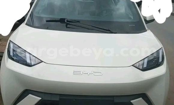 Acheter Occasion Voiture BYD S6 Autre à Addis Ababa, Ethiopie Acheter Occasion Voiture BYD S6 Autre à Addis Ababa, Ethiopie