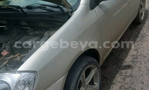 Acheter Occasion Voiture Toyota Corolla Autre à Addis Ababa, Ethiopie Acheter Occasion Voiture Toyota Corolla Autre à Addis Ababa, Ethiopie