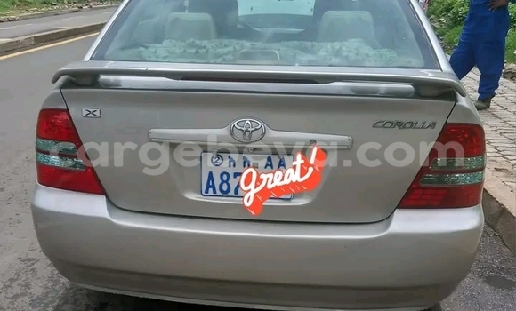 Acheter Occasion Voiture Toyota Corolla Autre à Addis Ababa, Ethiopie Acheter Occasion Voiture Toyota Corolla Autre à Addis Ababa, Ethiopie