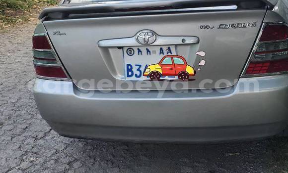 Oofamaa Toyota Corolla Other Makiinaa iti Addis–Ababa keessatti Ethiopia keessatti Oofamaa Toyota Corolla Other Makiinaa iti Addis–Ababa keessatti Ethiopia keessatti