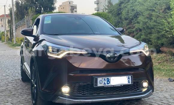 Buy Used Toyota C-HR Other Car in Addis–Ababa in Ethiopia Buy Used Toyota C-HR Other Car in Addis–Ababa in Ethiopia