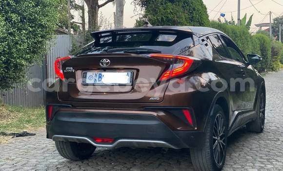 Oofamaa Toyota C-HR Other Makiinaa iti Addis–Ababa keessatti Ethiopia keessatti Oofamaa Toyota C-HR Other Makiinaa iti Addis–Ababa keessatti Ethiopia keessatti