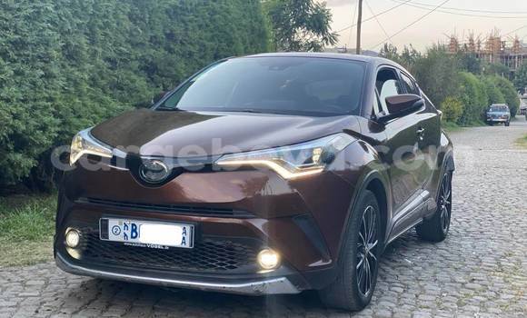 Oofamaa Toyota C-HR Other Makiinaa iti Addis–Ababa keessatti Ethiopia keessatti Oofamaa Toyota C-HR Other Makiinaa iti Addis–Ababa keessatti Ethiopia keessatti