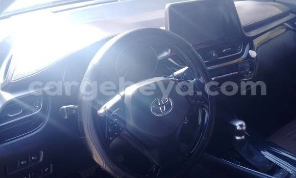 Oofamaa Toyota C-HR Other Makiinaa iti Addis–Ababa keessatti Ethiopia keessatti Oofamaa Toyota C-HR Other Makiinaa iti Addis–Ababa keessatti Ethiopia keessatti