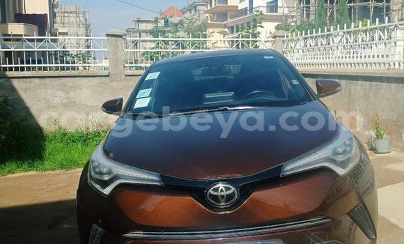 Oofamaa Toyota C-HR Other Makiinaa iti Addis–Ababa keessatti Ethiopia keessatti Oofamaa Toyota C-HR Other Makiinaa iti Addis–Ababa keessatti Ethiopia keessatti