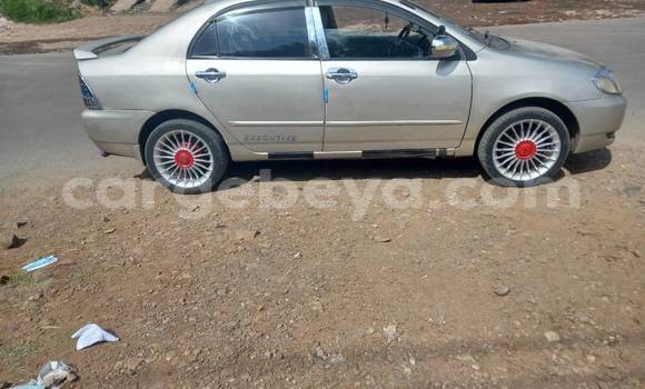 Buy Used Toyota Corolla Other Car in Addis–Ababa in Ethiopia Buy Used Toyota Corolla Other Car in Addis–Ababa in Ethiopia