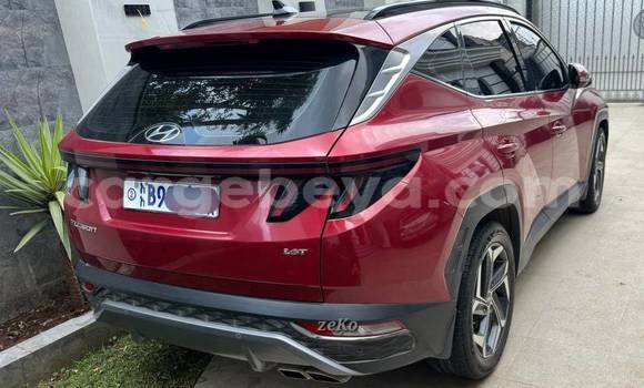 Oofamaa Hyundai Tucson Red Makiinaa iti Addis–Ababa keessatti Ethiopia keessatti Oofamaa Hyundai Tucson Red Makiinaa iti Addis–Ababa keessatti Ethiopia keessatti
