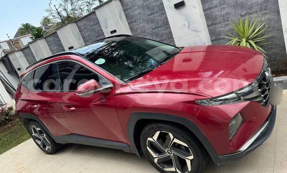 Oofamaa Hyundai Tucson Red Makiinaa iti Addis–Ababa keessatti Ethiopia keessatti Oofamaa Hyundai Tucson Red Makiinaa iti Addis–Ababa keessatti Ethiopia keessatti