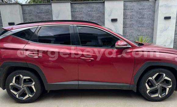 Oofamaa Hyundai Tucson Red Makiinaa iti Addis–Ababa keessatti Ethiopia keessatti Oofamaa Hyundai Tucson Red Makiinaa iti Addis–Ababa keessatti Ethiopia keessatti