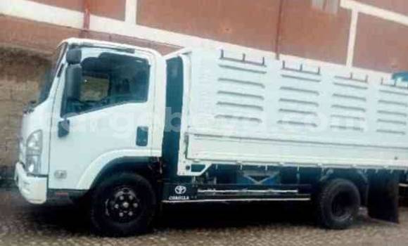 Oofamaa Isuzu FTR 850 White Netiree iti Addis–Ababa keessatti Ethiopia keessatti Oofamaa Isuzu FTR 850 White Netiree iti Addis–Ababa keessatti Ethiopia keessatti
