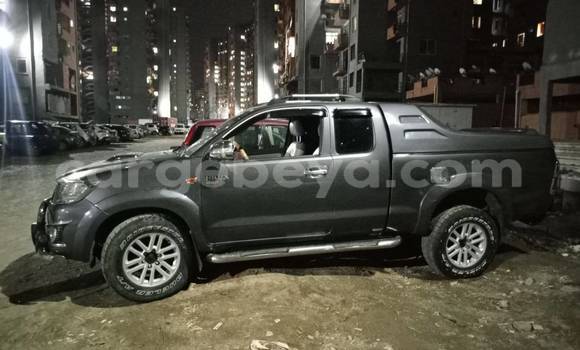 Oofamaa Toyota Hilux Other Makiinaa iti Addis–Ababa keessatti Ethiopia keessatti Oofamaa Toyota Hilux Other Makiinaa iti Addis–Ababa keessatti Ethiopia keessatti